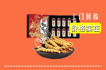 赣州市南康回收冬虫夏草